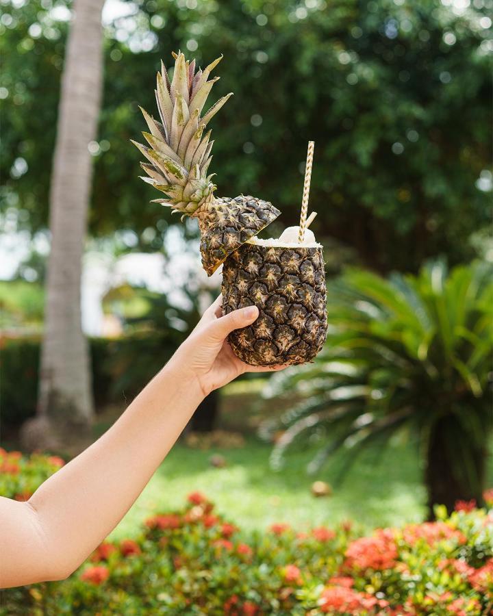 Отель Blue Tree Towers Sao Luis Экстерьер фото Pineapple juice