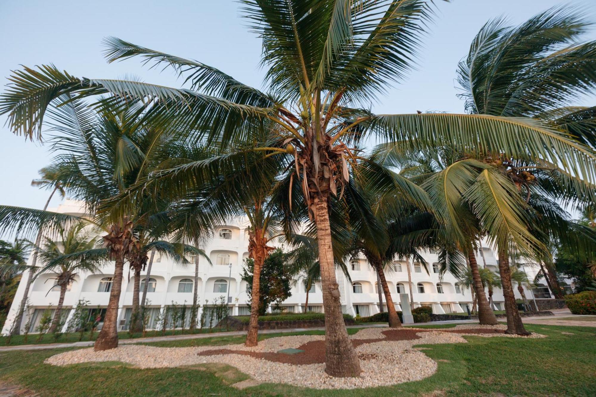 Отель Blue Tree Towers Sao Luis Экстерьер фото Coconut trees in the city
